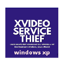 xVideOServiceThief 16.04 Crack Download Gratis 2024